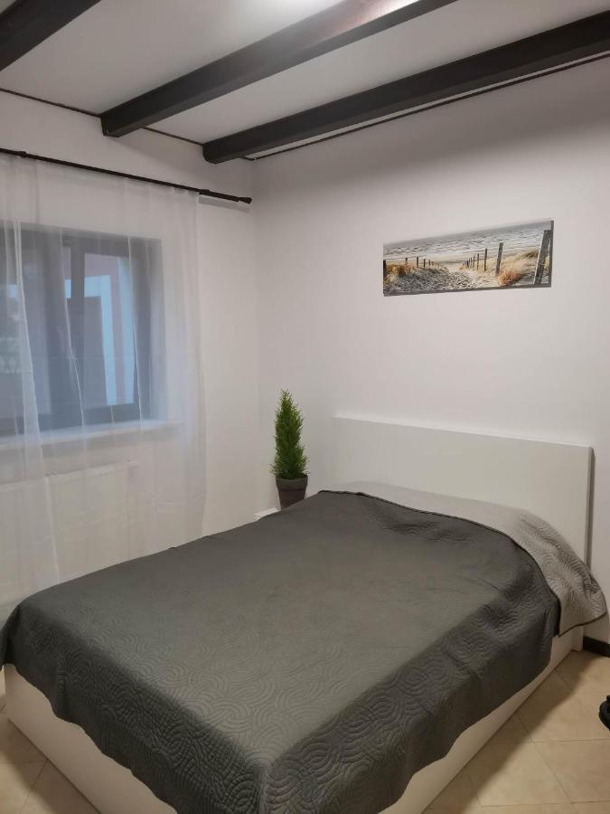 Urocze Studia W Lomiankach, 1- Z Sauna I Tarasem, 2- Z Kominkiem, 3- Ekonomiczne, 7Km Metro Mlociny Warszawa 로미안키 외부 사진